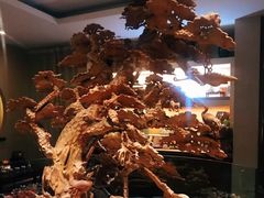 -禅一·静观堂(长寿路店)