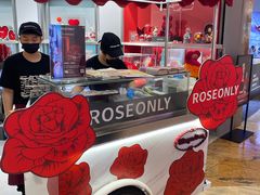 -ROSEONLY诺誓(广州K11店)