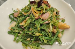 Stir-fried Pumpkin Shoots