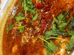 香辣酸菜黑鱼火锅-云海肴·云南小炒·汽锅鸡(天津国金汇店)