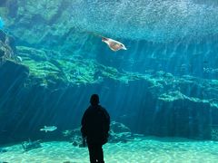 -西海国立公园九十九岛水族馆