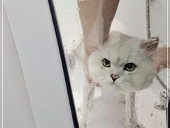 -FAELING PETS美天灵宠物(富力广场店)