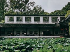 -上海醉白池公园