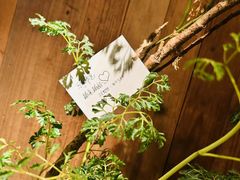 -时光花园(白鹭洲店)