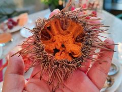 海胆-锦厨国际自助餐厅 · 云端景观 (昆明索菲特大酒店)