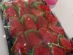 -PAGODA百果园(台柳路凯德广场店)