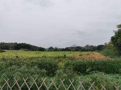 -中国版画博物馆