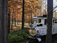 -黄海国家森林公园