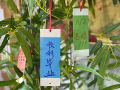 -帝京日语(春熙路旗舰校区)