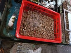 -马王堆海鲜水产市场