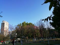 -金山公园