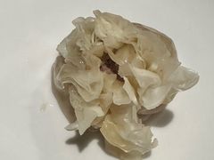 -清和元(铜锣湾店)