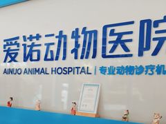 -爱诺动物医院(崂山店)