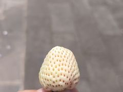 -南坛综合农贸市场