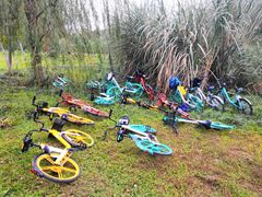 -白鹭湾湿地公园