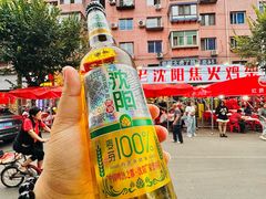 -周记老沈阳焦火鸡架