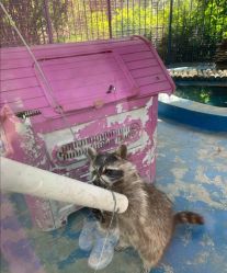 -萌宠亲子动物乐园(槐房万达店)