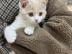 -瑞派天宁宠物医院·猫科·异宠中心