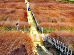 -嘉北郊野公园