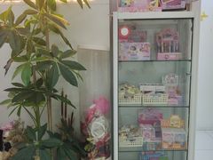 -西安小天鹅艺术团(曲江Alice店)