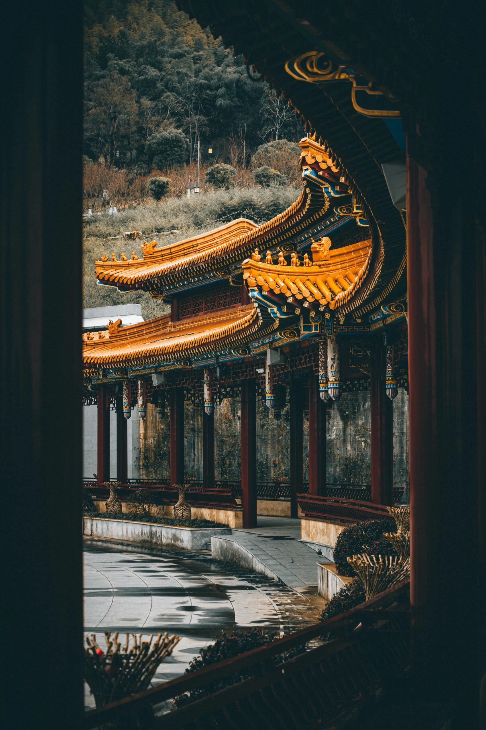 趁上海周边这座寺庙还不收门票🎫,大家快冲