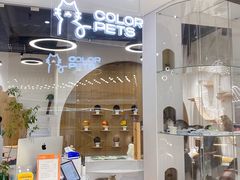 -COLOR PETS 撸猫馆·购猫·猫咖(长风大悦城店)