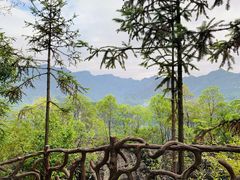 -梭布垭石林景区