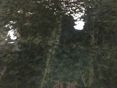 -佛冈森波拉度假区