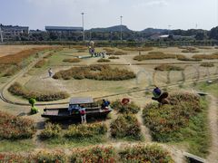 -苏州太湖西山岛开心农场
