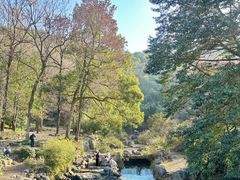 -九曜山