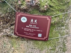 -绮园景区