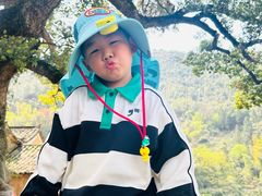 -杨家堂村