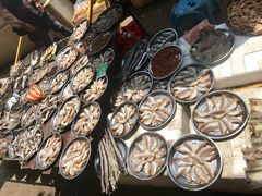 餐饮设施-大湾区中央湿地公园-十九涌