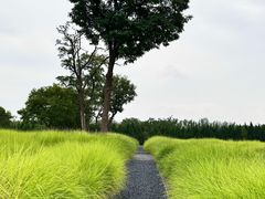 -汉长安城未央宫国家考古遗址公园