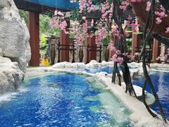 -中铁花水湾温泉酒店(大邑店)