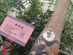 -呀路古热带植物园