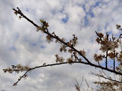 -广州市流溪河国家森林公园