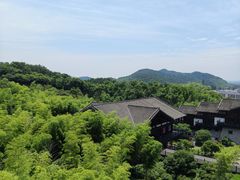 -大唐贡茶院
