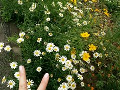 -白鹭湾湿地公园