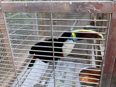 -南宫五洲植物乐园