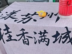 -苏州市吴中区光福窑上花果蜜饯厂