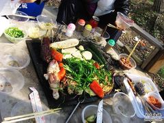 -东湖落雁景区