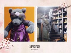 -济州岛泰迪熊博物馆