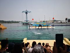 -秦皇岛乐岛海洋王国