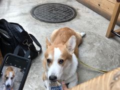 -VOYAGE COFFEE(北锣鼓巷店)