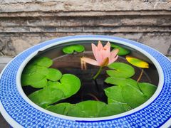 -西安市广仁寺