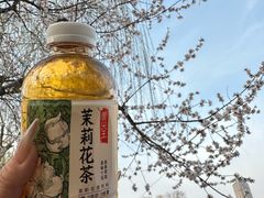 -迎泽公园