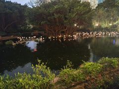 -九龙公园