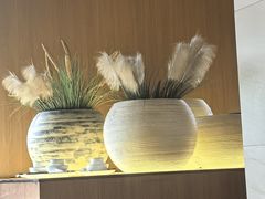 -崂山印象·青岛·海鲜渔家菜