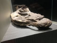 -世界恐龙谷景区